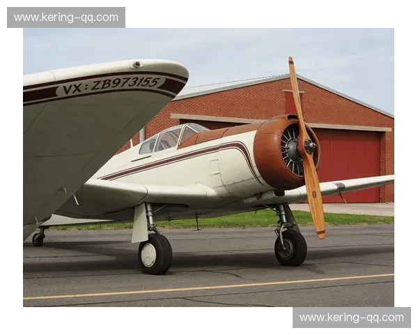 卡斯特拉诺斯肩负保级重任 西汉姆联锋线新援亟待证明身价